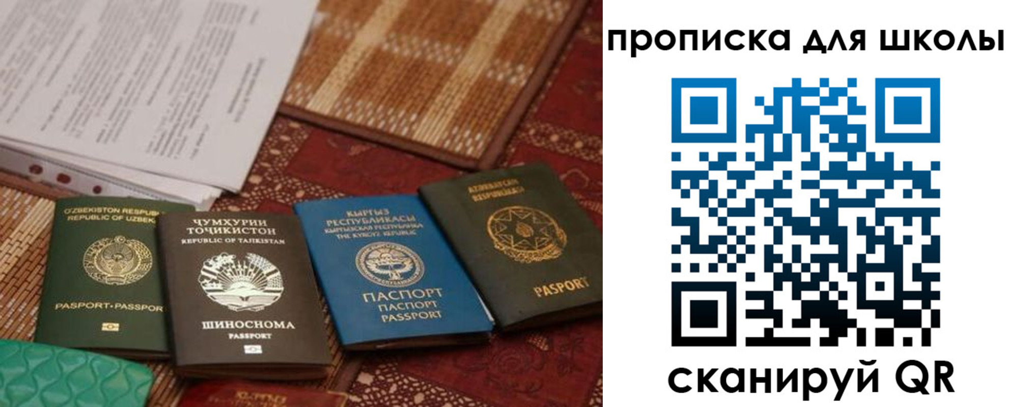 прописка от собственника в Оленегорске